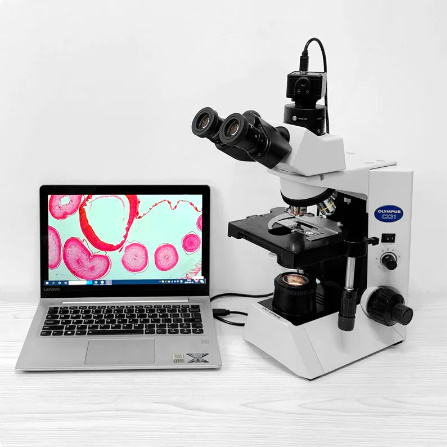 E018 measurement software height resolution therefore Win10/7/win8 5mp usb cmos camera electron digital connection eye microscope postage driver /