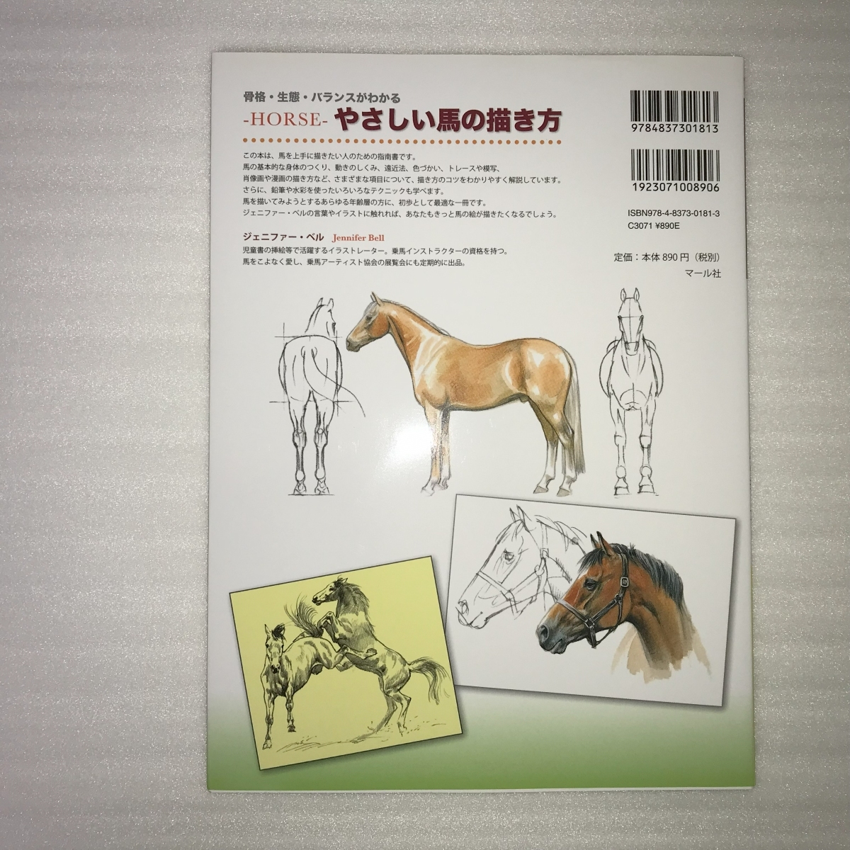 骨格・生態・バランスがわかる‐ＨＯＲＳＥ‐やさしい馬の描き方_画像2