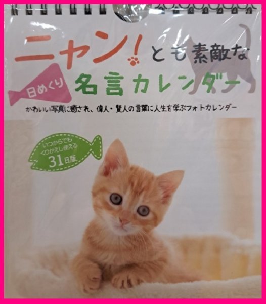 【卓上:猫 名言 カレンダー:2024年:17x15cm】★可愛い 「子猫」★日めくりタイプ:繰り返し使える 万年カレンダー★ねこ:ネコ_画像1