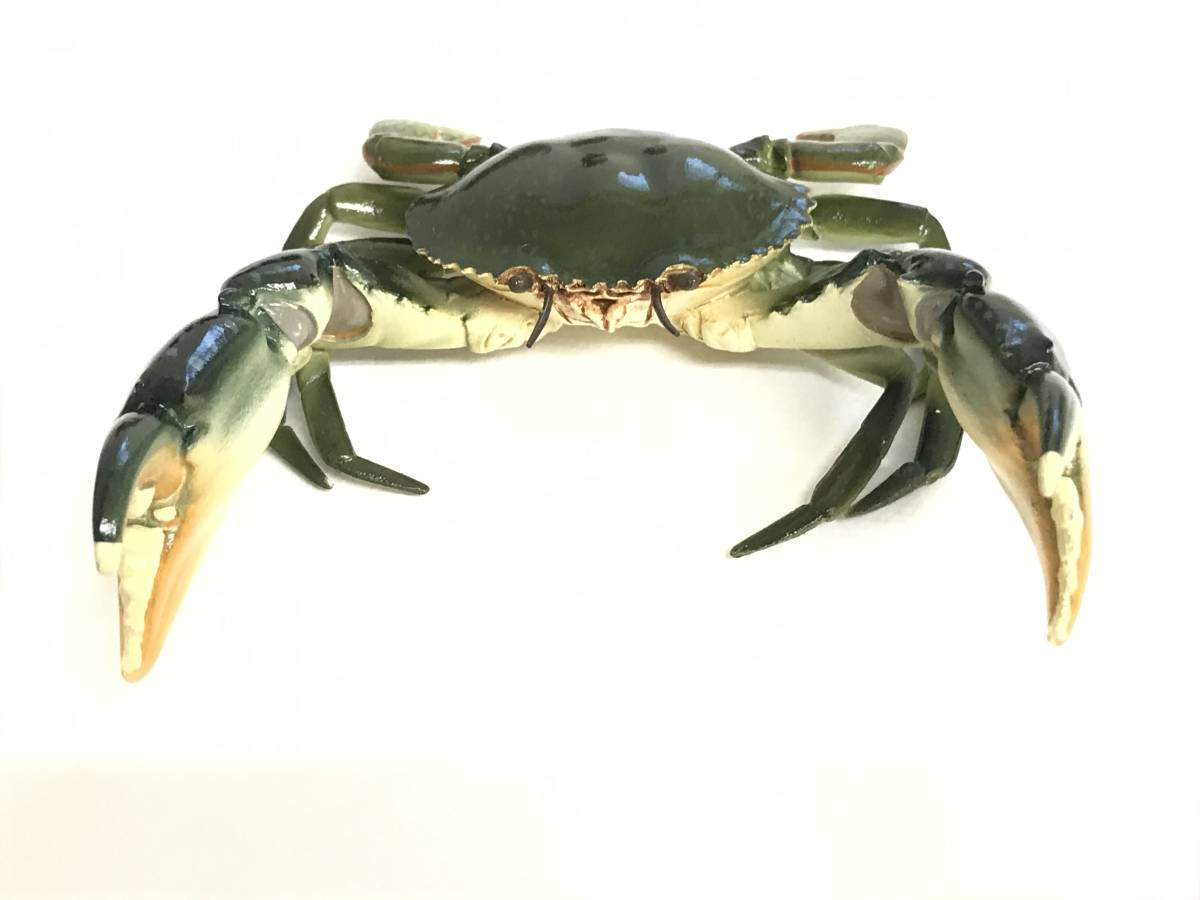 091 (14-5) アクアテイルズ ノコギリガザミ 海洋堂 KAIYODO AQUATALES Polyresin #1-006 Mud Crab 塗装済み_画像5