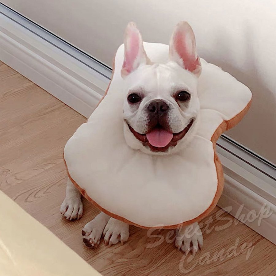 エリザベス カラーペット 猫 犬 パン型 食パン型 首 プロテクター_画像8