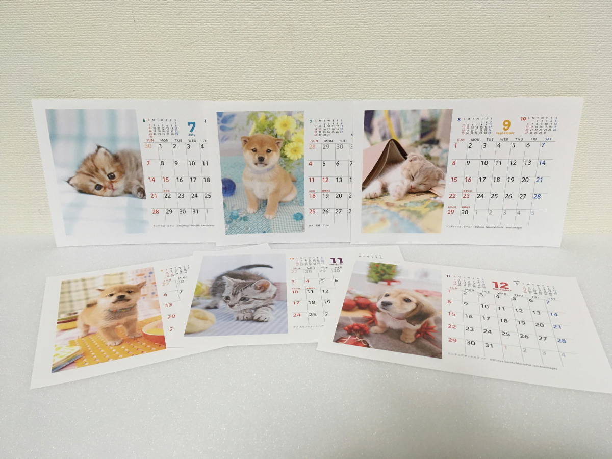 即決■ 2024　令和6年 住友生命 犬 猫 卓上 カレンダー DOG ＆ CAT 動物 サモエド 柴犬 スコティッシュフォールド コーギー マンチカン_画像3