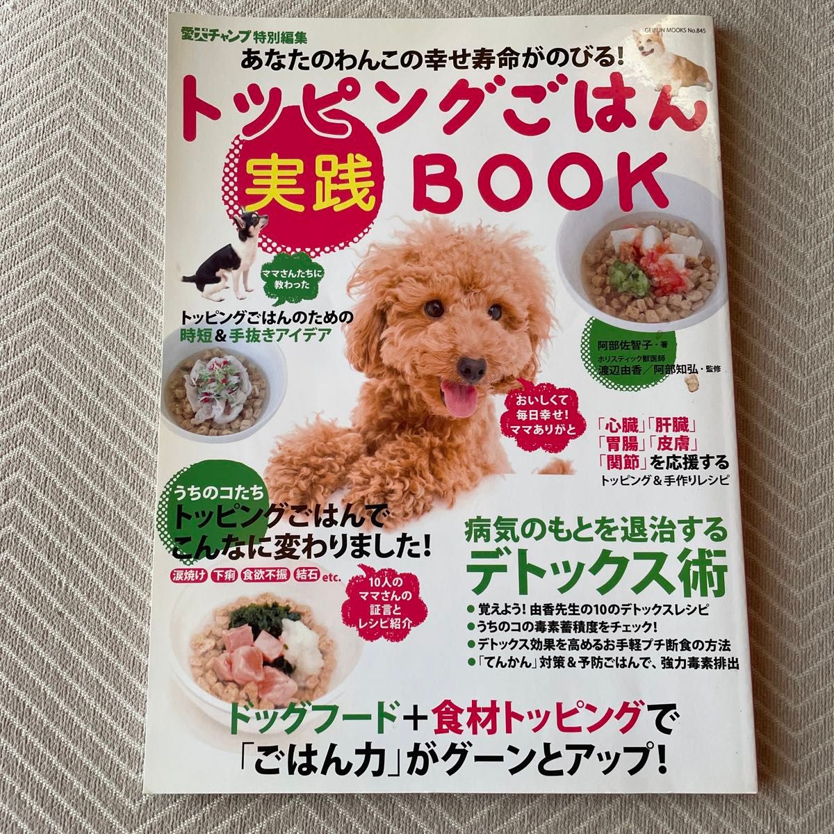 トッピングごはん実践ＢＯＯＫ　あなたのわんこの幸せ寿命がのびる！　うちのコたちトッピングごはんでこんなに変わりました！ 