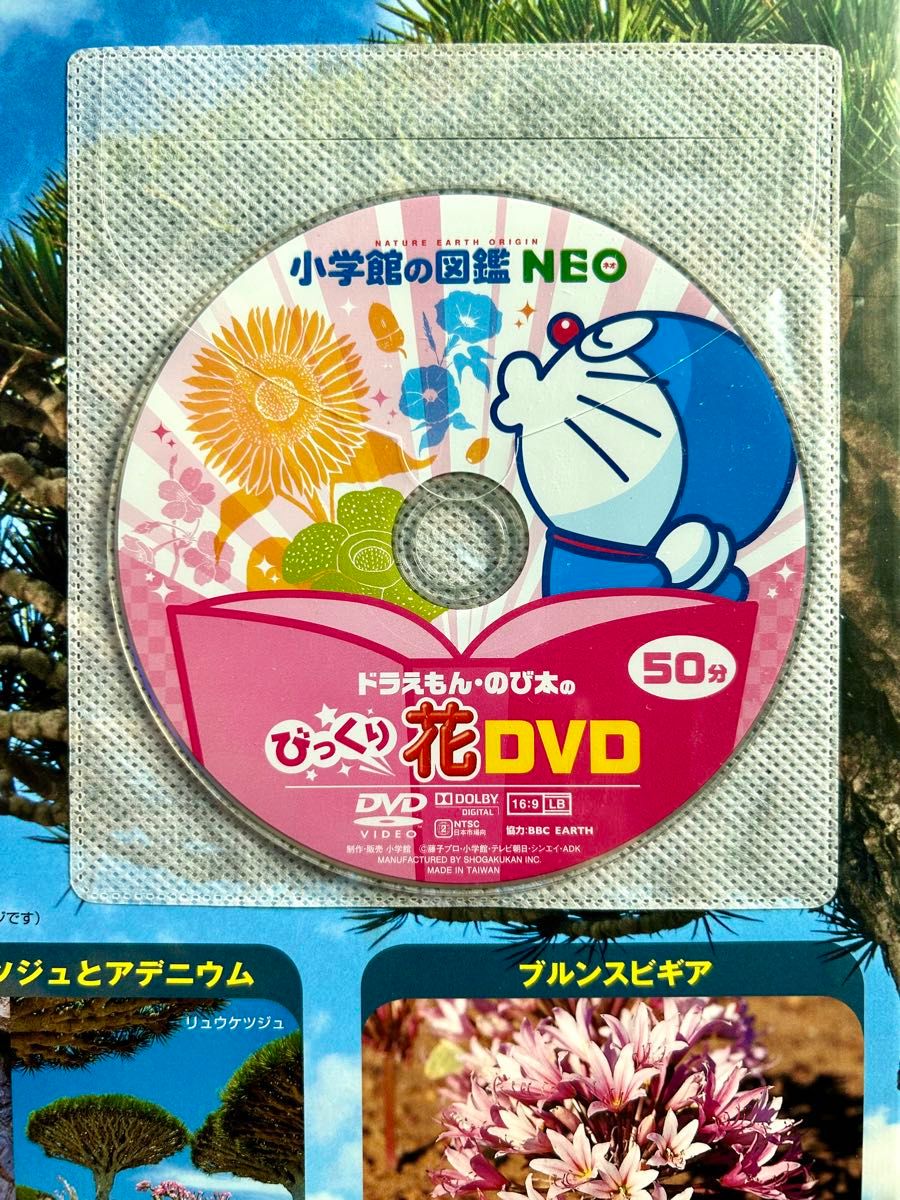 小学館の図鑑 NEO ドラえもんのび太のびっくり花DVD 豪華10点セット|キッズ・ファミリー 小学館の図鑑 NEO ドラえもんのび太のびっくり花DVD 豪華10点セット|キッズ・ファミリー