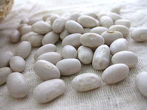 白いんげん甘納豆×2袋(白インゲンの香り際立つあまなっとうです) 手亡豆の和菓子 豆のおやつ【メール便対応】の画像5