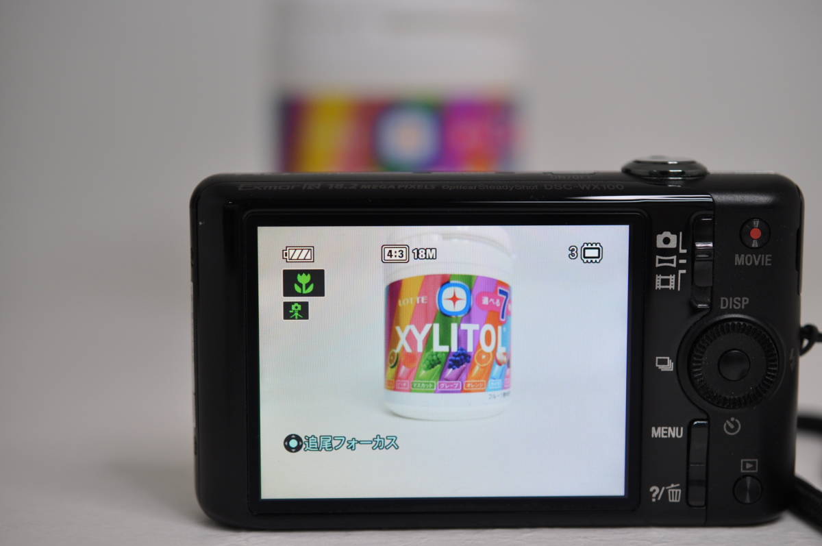 動作品 ソニー SONY Cyber-Shot DSC-WX100 サイバーショット ブラック コンパクトデジタルカメラ 管GG1635_画像8