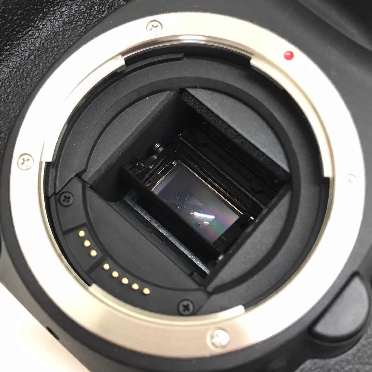 中古美品 キャノン Canon デジタルカメラ EOSkiss X5 ダブルズームキット レンズ 18-55㎜F3.5-5.6 55-250㎜F4-5.6 質屋出品_画像6