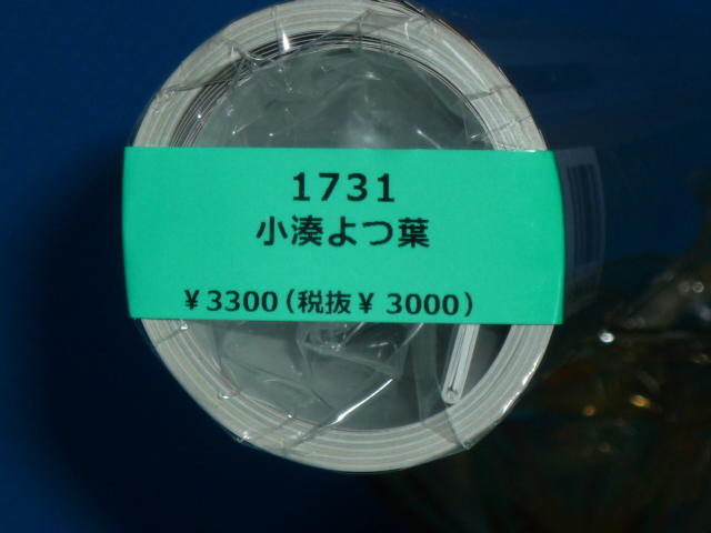 ◆＝2024年/小湊よつ葉/セクシーカレンダー/ CL－1731/新品 未使用_画像1