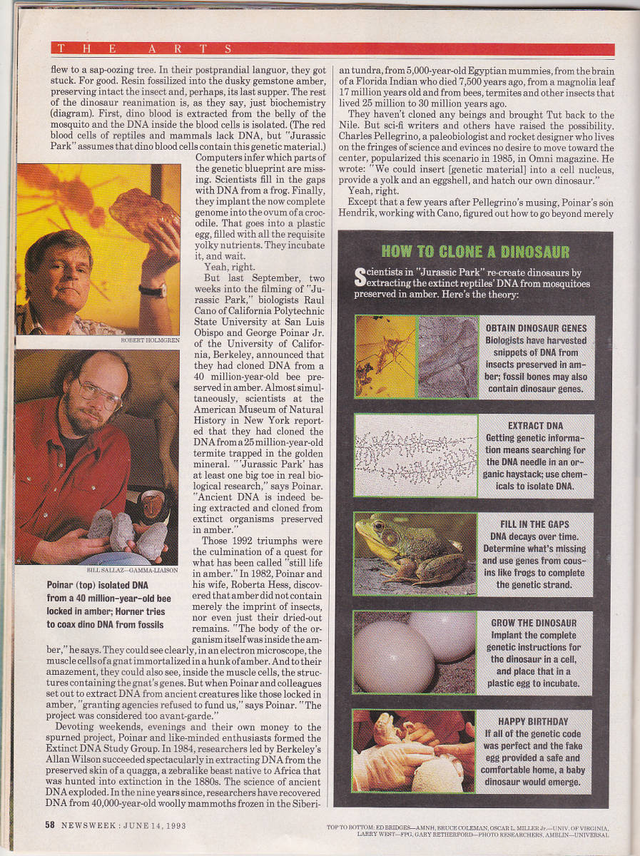 0429【送料込み】Newsweek誌(1983.6.14.発行) ジュラシック・パークとマイケル・ジョーダン特集_画像3