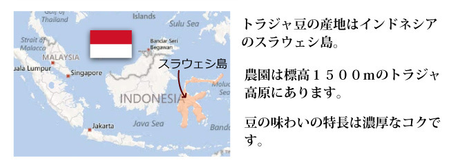 トラジャ200g●ほのかに感じる”甘味”●送料300円（粉ＯＲ豆をメッセージでご指定してください）_画像2