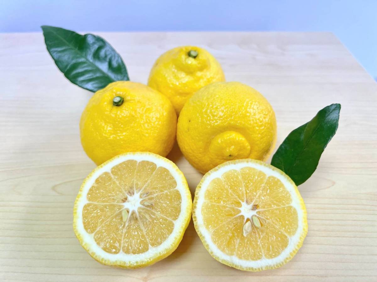 はるか 5kg 愛媛県産 柑橘 ほどよい甘さ 少ない酸味 みかん 蜜柑 限りなくレモンに近いイエロー　③_画像2