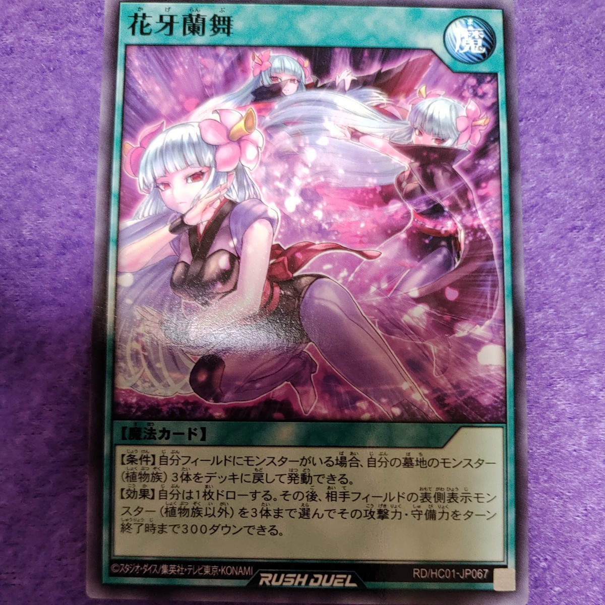 遊戯王 ラッシュデュエル 花牙蘭舞 ノーマル RD/HC01-JP067_画像1