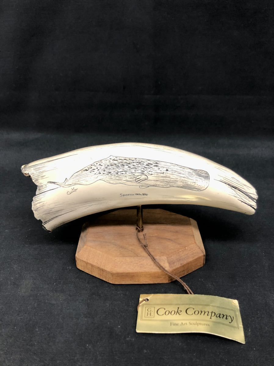 希少 レプリカ牙 彫刻 Sperm Whale G.H.Cook Company マッコウクジラ 海外アート 牙 歯 置物 レトロ_画像1