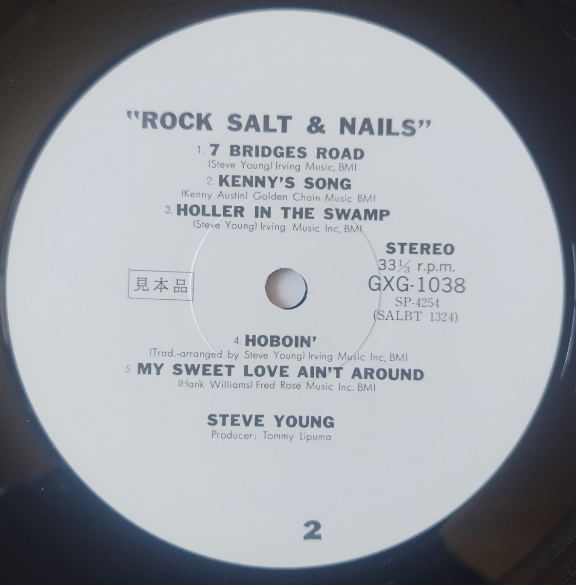 Steve Young Rock Salt And Nails/1977年国内盤白プロモA&M Records GXG-1038/A&M ロック名盤1900シリーズ ベスト20_画像4