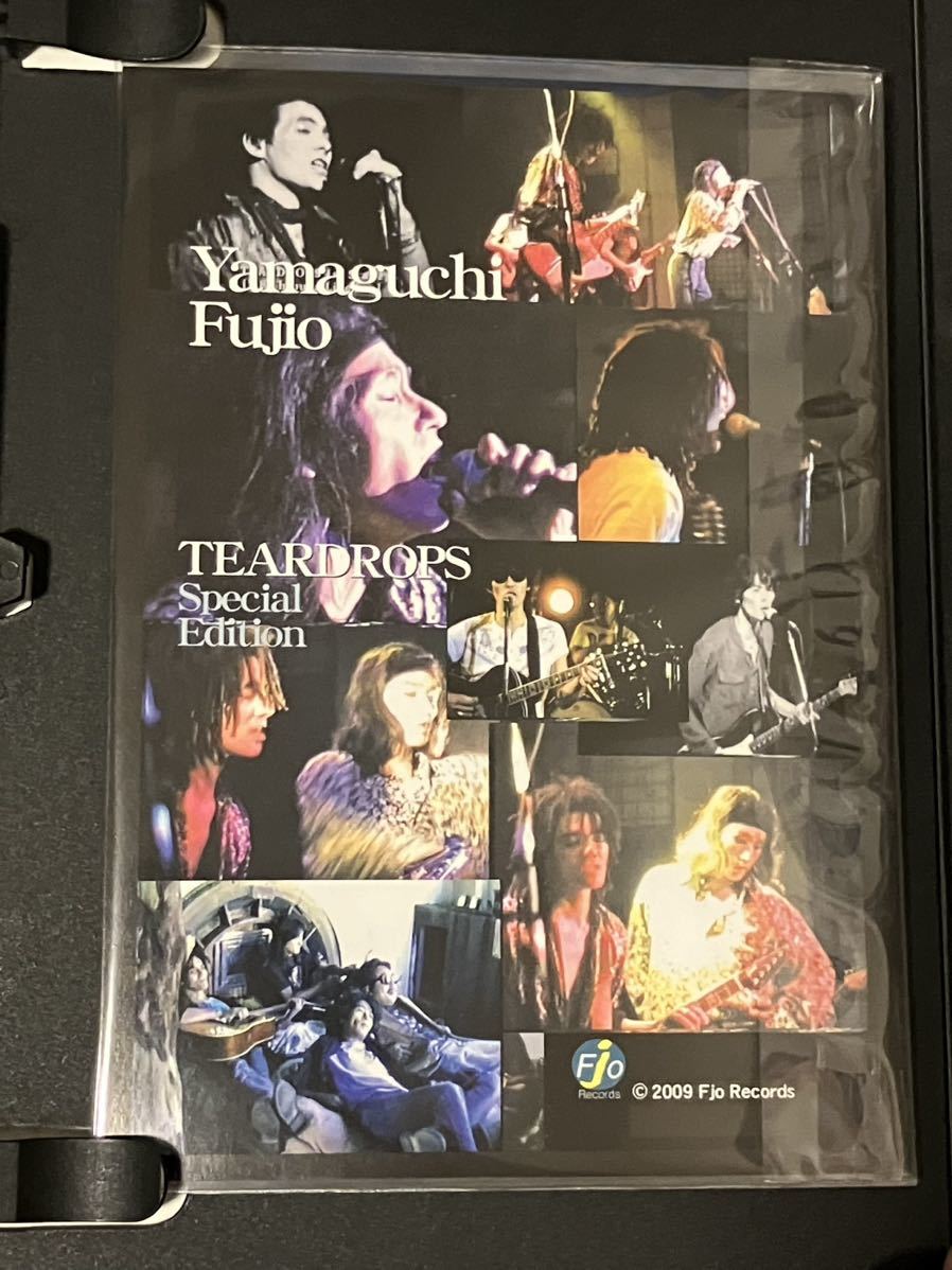 山口富士夫 Fujio Yamaguchi TEARDROPS Special Edition DVDの画像3