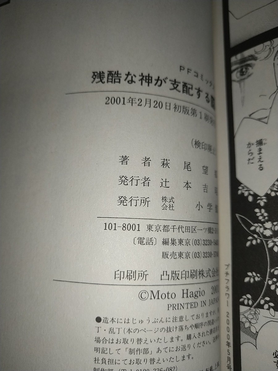 【古コミック本】残酷な神が支配する16巻.17巻帯あり 2001年初版2冊セット 萩尾望都 _画像3