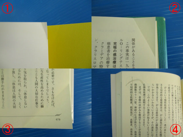 【４冊セット！】★がん治療関連本4冊セット★横内正典/川畑伸子/鹿島田忠史 東洋医学/漢方/イメージ療法/再発防止習慣_画像8