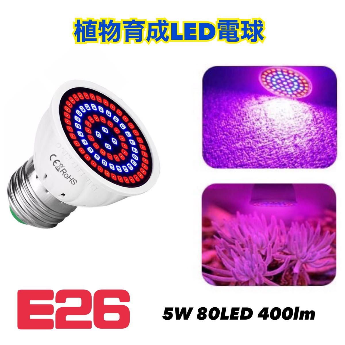 植物育成 LED電球 ライト赤 青 E26 5W 観葉植物 水槽 アクアリウム