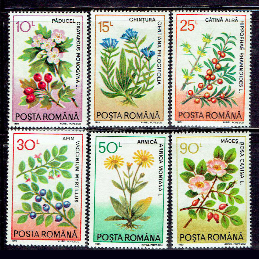 ルーマニア 1993年 薬草切手セット_画像1