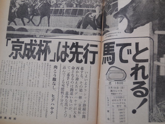 週刊競馬報知 動き出したダービー路線「京成杯」は先行馬でとれる！_画像5