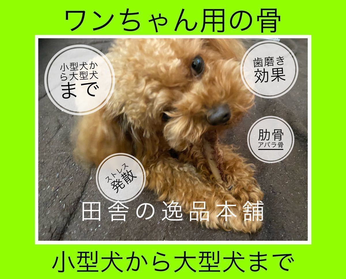 猪の骨 100g以上 犬用 ジャーキー ガム ドッグフード 歯磨き ストレス発散