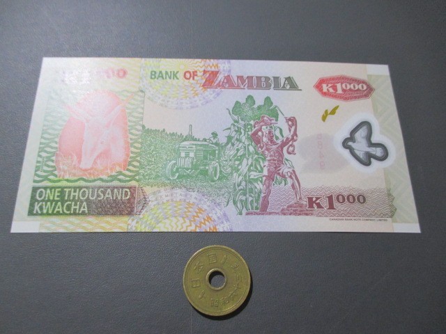 未使用　ザンビア　2005年　ポリマー1000クワチャ_画像2