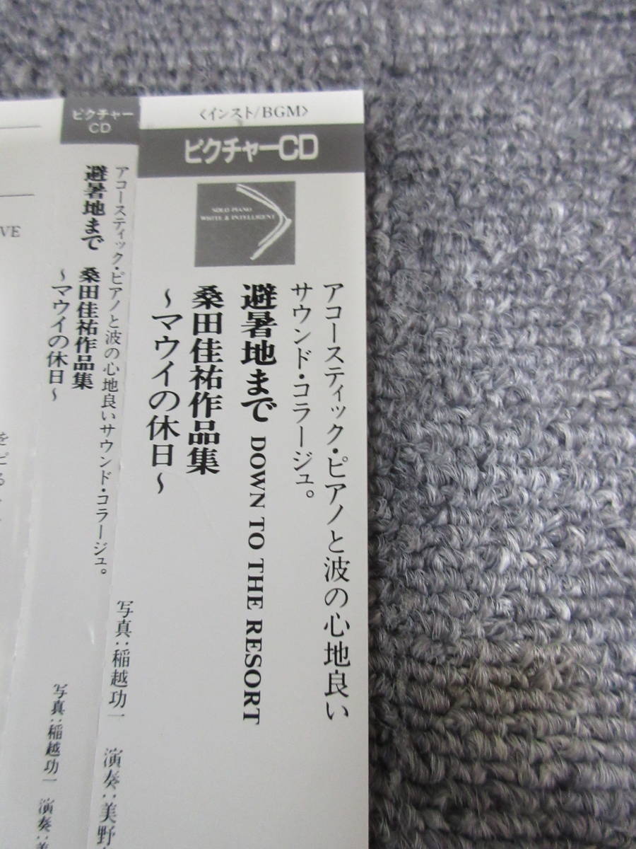 CD サザンオールスターズ 桑田佳祐 アコースティック・ピアノと波の心地良いサウンド・コラージュ 夏をあきらめて いとしのエリー 他 10曲_画像2