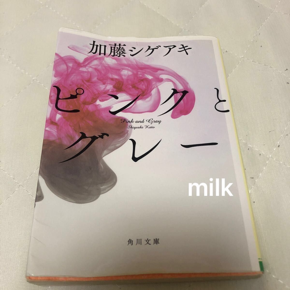 ピンクとグレー/加藤シゲアキ 小説
