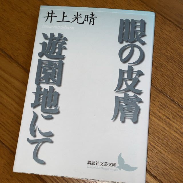 井上光晴 眼の皮膚・遊園地にて 講談社文芸文庫_画像1