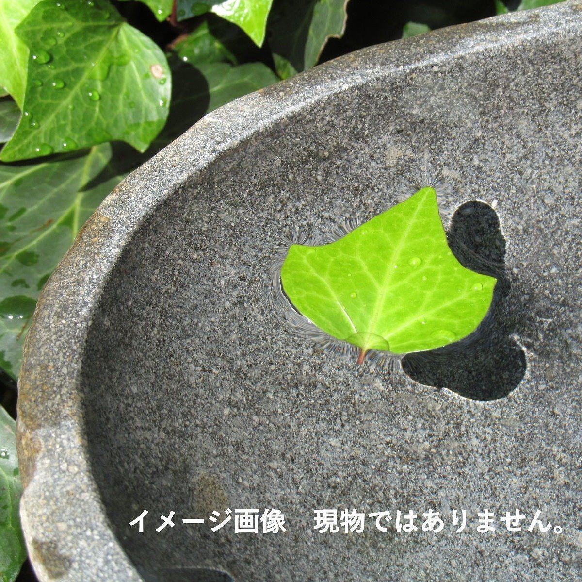  natural stone ...... hand water pot Rebirth tone L 49X41 Tsukuba . water lily pot .... pot me Dakar pot medaka pot garden tsubo garden stone material 250926