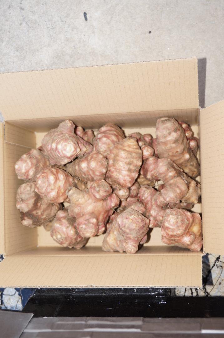 紫菊芋 紅菊芋 きくいも 2.5㎏ 便秘 健康 食品 血糖値 パワー 紫菊芋 紅菊芋 きくいも 2.5㎏ 便秘 健康 食品 血糖値 パワー
