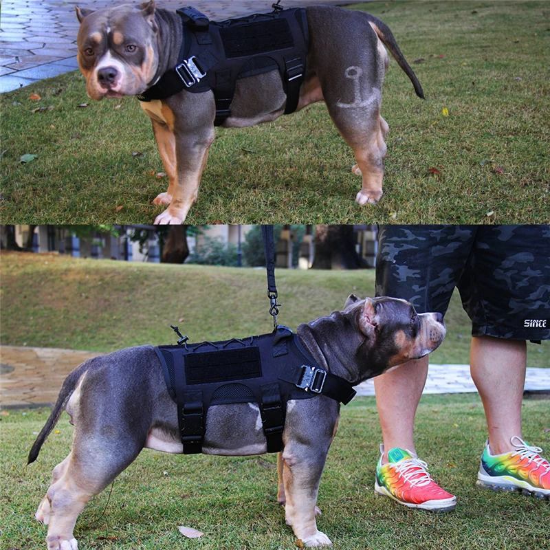 爆売れ 中型犬のハーネス1P 全2色 中型犬 猟犬 ハーネス ベスト ナイロン 調節(jié)可能 ペット 犬 散歩 ペット用品