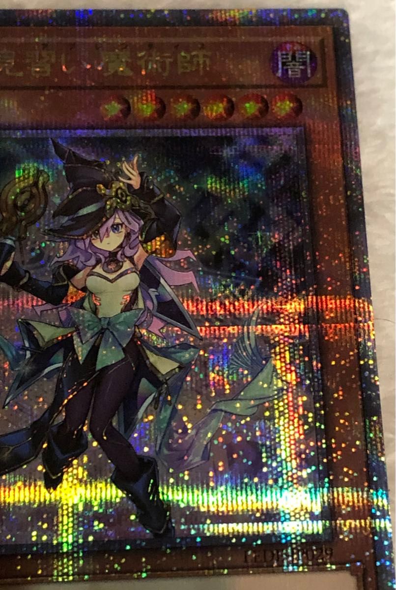 遊戯王 幻惑の見習い魔術師 ナイトメアプレンティス 25th 遊戯王 幻惑の見習い魔術師 ナイトメアプレンティス 25th