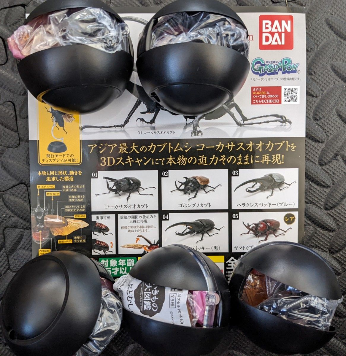 【新品】いきもの大図鑑 かぶとむし02 カブトムシ いきもの図鑑 リアルフィギュア ゴホンヅノカブト オオカブト　ガチャガチャ