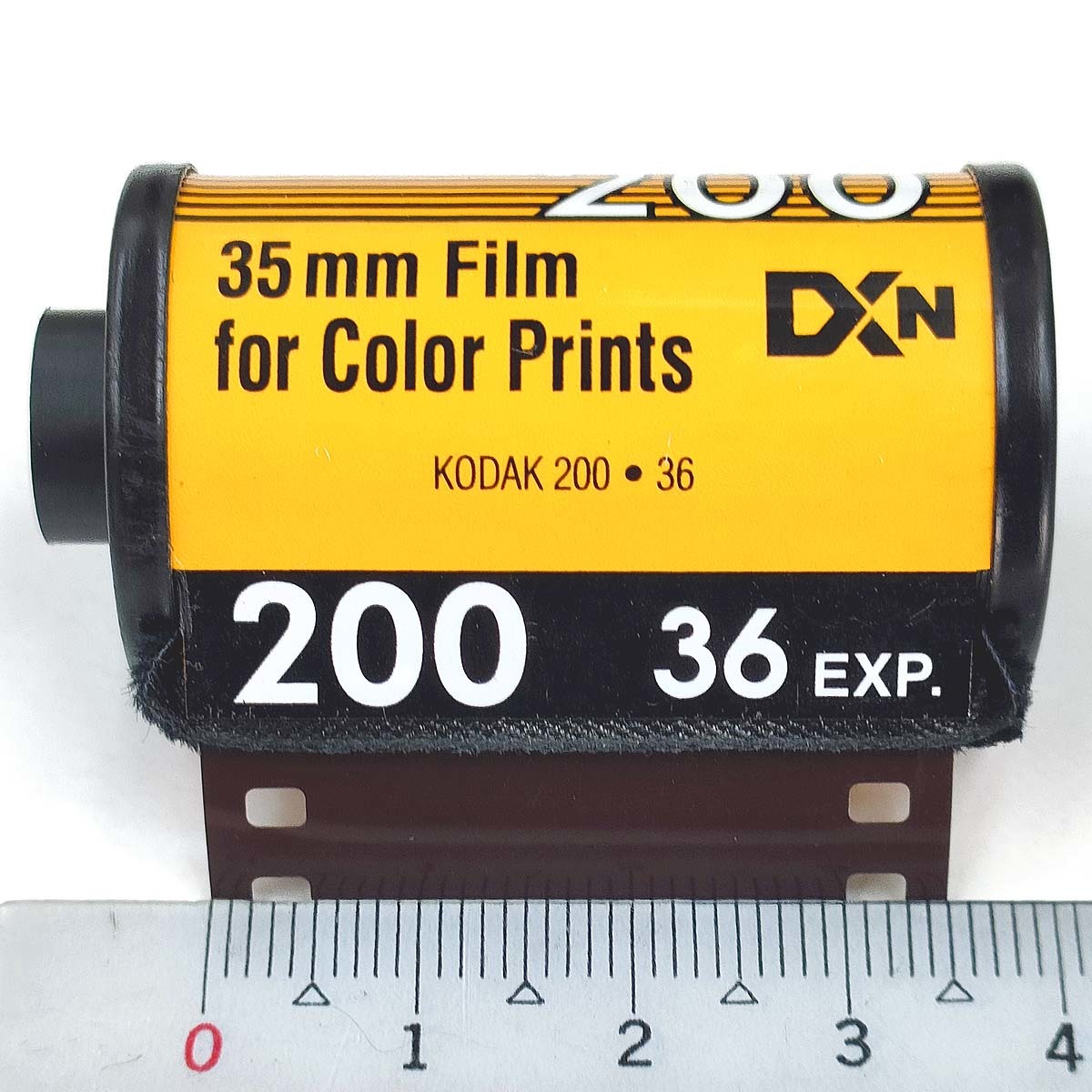 Color Plus 200-36枚撮【1本】Kodak カラーネガフィルム ISO感度200 135/35mm【即決】コダック CAT603-1470★0086806031479 新品_画像8
