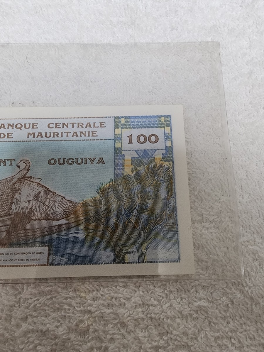 モーリタニア　見本紙幣　100ウギヤ　旧紙幣　外国紙幣　SPECIMEN_画像6