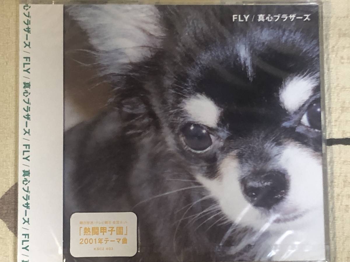 ★非売品★未開封★CD　真心ブラザーズ「FLY」 見本盤 　promo only japan mint sample rea_画像1