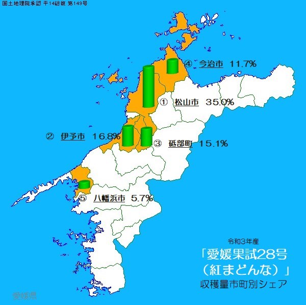 全国送料無料　紅まどんなと同じ品種　愛果28号　傷が多い家庭用　Mサイズ24個くらい　3kg　愛媛中島産　18_画像5