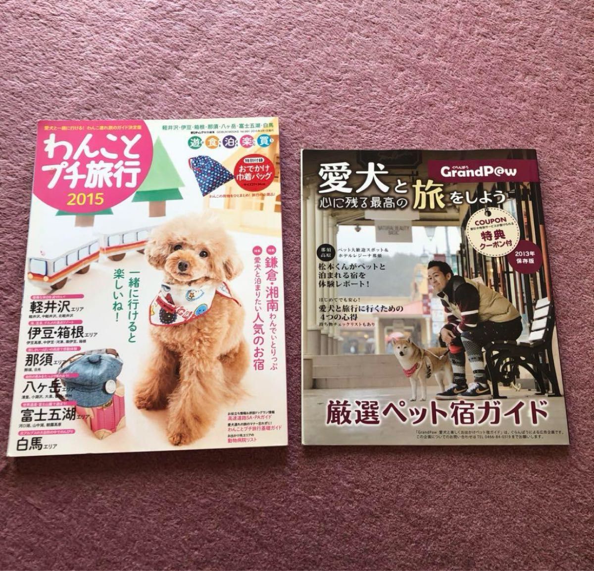 雑誌 わんことプチ旅行＆厳選ペット宿ガイド まとめ売り