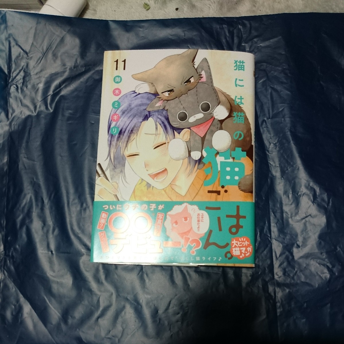 猫には猫の猫ごはん。11巻 御木ミギリ 1月新刊_画像1