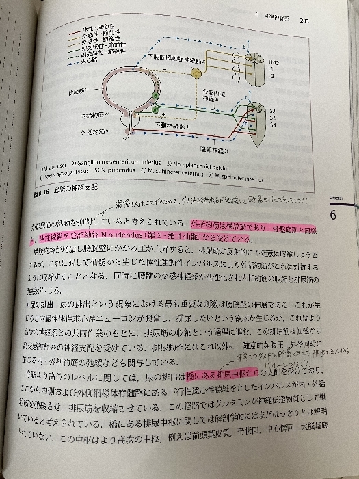 神経局在診断 文光堂 ペーター・ドゥース_画像4