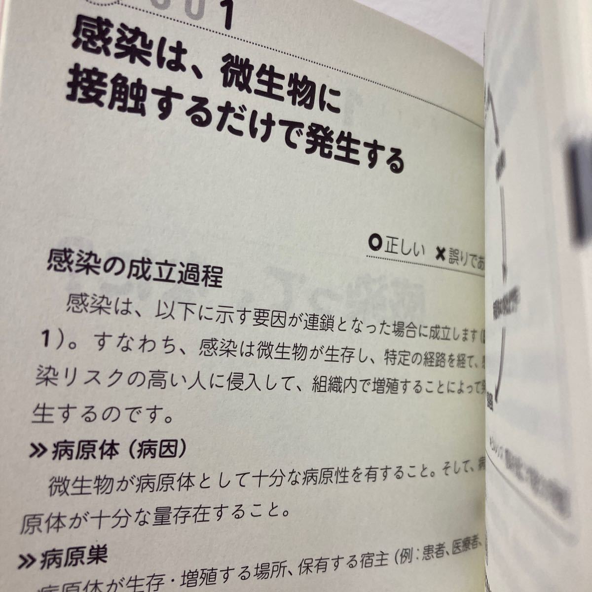 感染対策チェックテスト１００　感染対策キホンのき　○×問題で感染対策の理解度をチェックしよう！ （ポケット版）_画像7