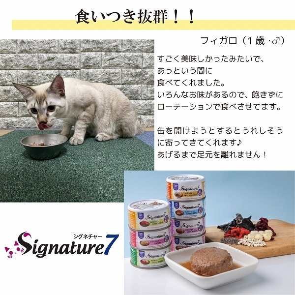  free shipping signature 7 day tsuna& cranberry cat cat synthesis nutrition meal real mi-to80g 24 can set S7-P7 0653871285634