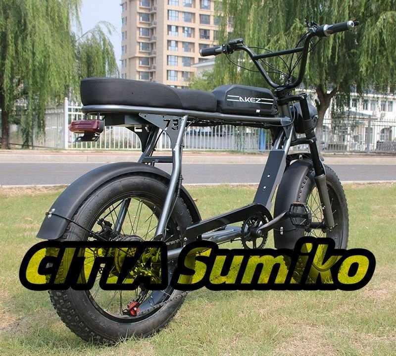  high quality * retro electromotive bicycle E-BIKE *20x4.0 -inch *48V*1500W* 18Ah* s3rx lithium battery motocross 