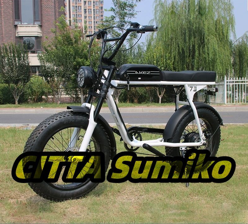  администратор специальный отбор * дюймовый ретро электромобиль E-BIKE 36V*350W*13Ah*s3rx* lithium батарейка мотокросс чёрный / белый / серебряный цвет 20x4.0