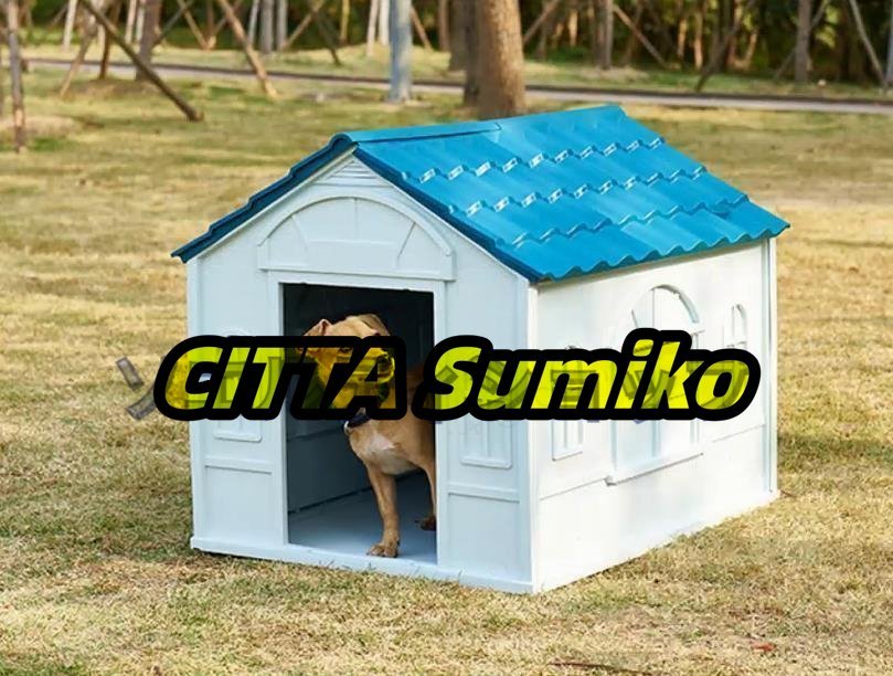  strongly recommendation * washing with water possibility kennel outdoors dog house pet house corrosion not doing plastic triangle roof large dog medium sized dog canopy durability 