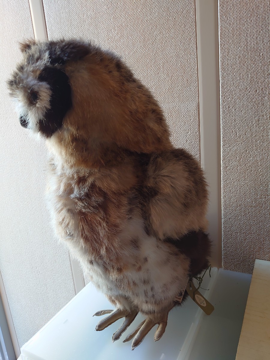○リアルなフクロウのぬいぐるみ大型50センチ位 :: Yahoo ○リアルなフクロウのぬいぐるみ大型50センチ位 :: Yahoo