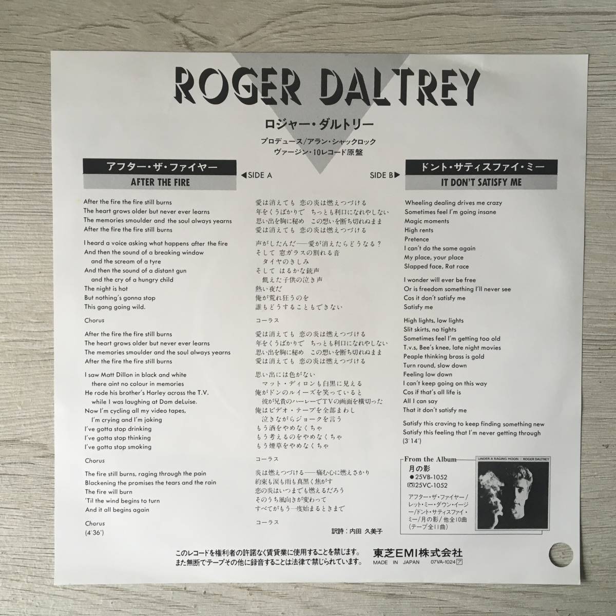 PROMO ROGER DALTREY AFTER THE FIRE_画像2