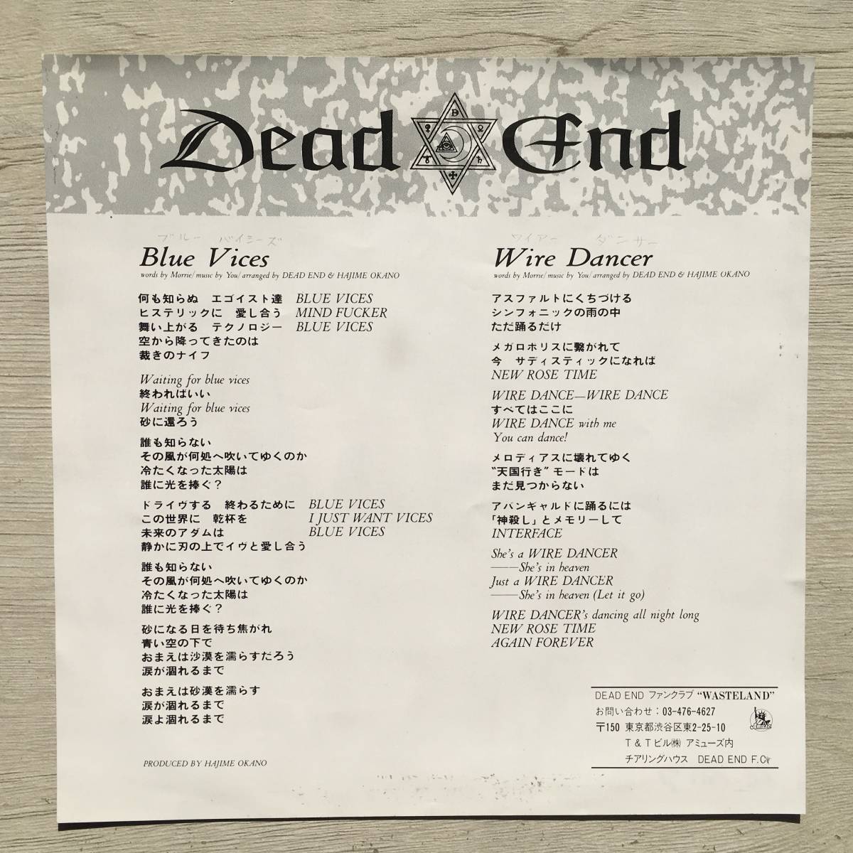 PROMO DEAD END BLUE VICES _画像2