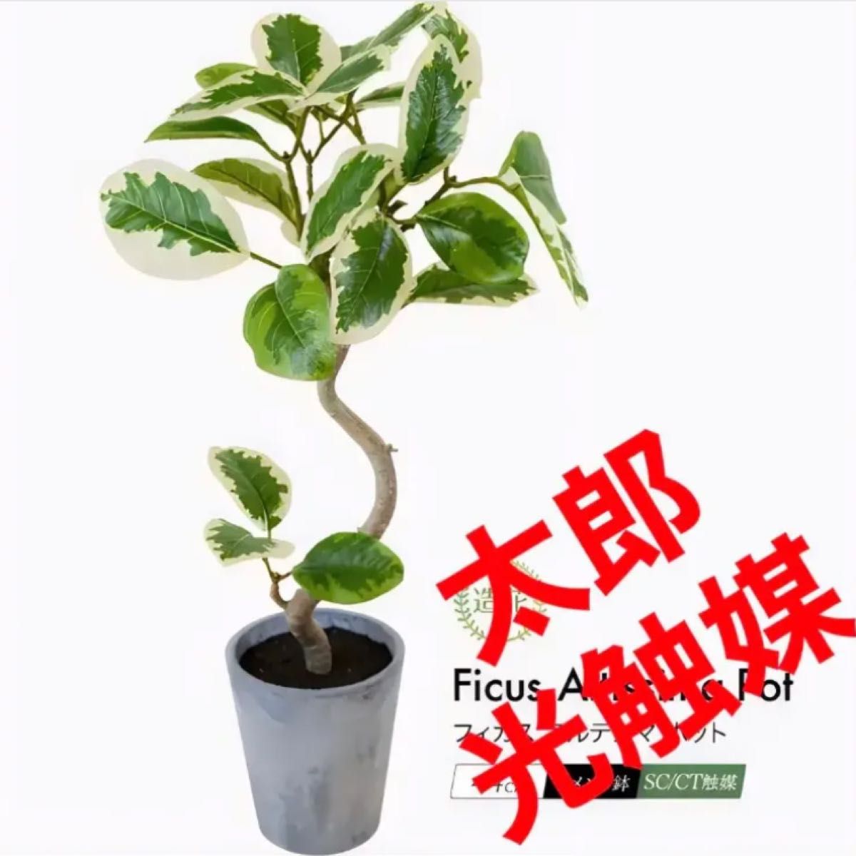 光触媒　人工観葉植物　ウォールグリーン　フェイクグリーン　アルテシマgpt